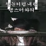 라인업 이건 아니잖아...동물학대로 고발당했어?