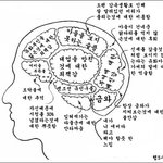 주몽 뇌<b>구조</b>