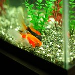 귀여운 주차의 <b>달인</b>