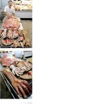 <b>시체</b>빵 보셨나요?