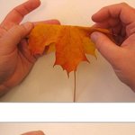 가을 <b>낙엽</b>으로 장미꽃 만들기