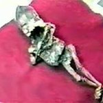 난쟁이 외계인? 러시아 과학자들 '지구상에 존재 않는 생명체'