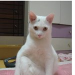 난 <b>이</b> 결혼 <b>반</b>댈세!!