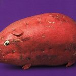 야채로 만든 <b>동물</b>들