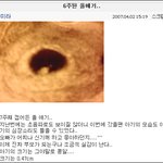 윤종신, <b>전미라</b>의 2세~ 초음파사진!! 귀엽네~