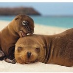 <b>아웅</b> 엄마~그만 자고 밥 좀 줘!