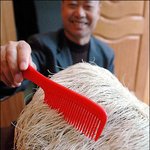 흰머리가 자라는 돌...???