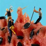 판타스틱 <b>미니어쳐</b>