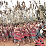 전하~제발 저를 후궁으로 뽑아주세요!