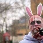 대략 난감한 '이디오타로드(idiotarod)' 달리기 대회ㅎㅎ;;