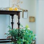 우리 집에 참 잘 어울리는 한국식 그린 인테리어