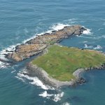 섬이 경매에 올라오다.