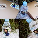 윤정희 팬클럽 '행복한여자' 촬영장에 도시락 50<b>인분</b>