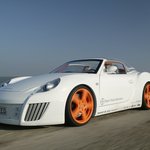 선탠 권하는 명차? 투명한 지붕 달린 포르쉐