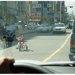 <b>도로</b> 위의 무법자