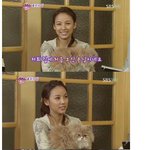 [오프더레코드]효리네 집에 사는 고양이 두마리~고순이와<b>미미</b>!!!~짱귀엽~