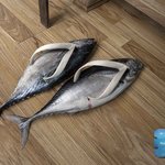 생선신발, 생쥐신발, 무슨 광고?