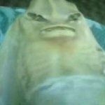 러시아 어부 '외계<b>생물</b> 잡아 요리해 먹었다