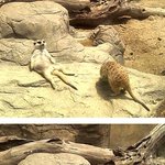 <b>아오</b>...귀찮어...