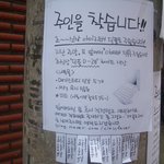 주인을 찾습니다!