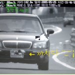 <b>은혜</b> 갚은 까치 ?ㅋㅋ