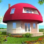 슈퍼 마리오 <b>버섯</b> 집