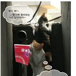 빨간책 돌려 보는 <b>응큼</b>한 고양이들~~ㅋㅋ