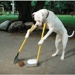 <b>개의</b> 매너~