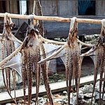 세탁소 옷걸이의 재활용…재밌는 아이디어