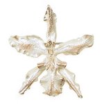 자연주의 로맨틱 브로치