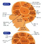 미로처럼 복잡하고 <b>미묘</b>한~ 그것은 남 과 여!