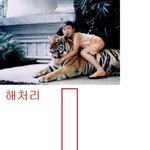 호랑이와 여성의 성장기 <b>오호</b>