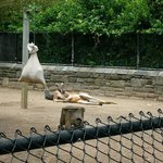 어때요~저 좀 <b>요염</b>하죠?