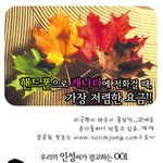 조인성,김하늘,차범근,<b>정시아</b>,윤은혜,주진모가 캐나다에 가면?