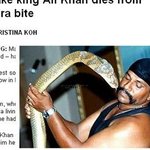 인생은 아이러니... 코브라 묘기 전문가, 뱀에 물려 사망