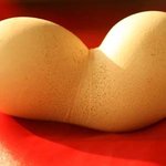 두개의 <b>달걀</b>이 이어져 있네? <b>달걀</b> 맞아?