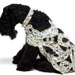 럭셔리 애견 <b>쟈켓</b>