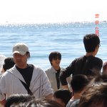 최근 <b>부산</b> 앞바다에 나타난 공유 직찍