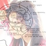 공길이의 뇌<b>구조</b>
