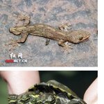 환경<b>오염</b>의 최대 피해자! 바로 우리예요ㅠ