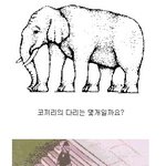 신기한 착시<b>현상</b> 모음