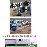 내 이름은 마티즈! 내 얘기좀 들어볼래?