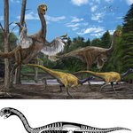 <b>티라노</b> 크기의 초대형, 닭 닮은 ‘새 공룡’ 발견