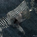 횡단<b>보도</b>도 이젠 예술이다