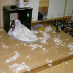절대 너를 <b>용서</b> 할 수 없어!!