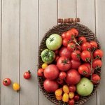 건강을 생각한다면 역시 토마토가 최고!