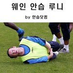 웨인 <b>안습</b> 루니1,2