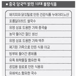 중국의 10대 불량 식품