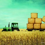 농장에서 <b>수확</b>해온 크래커???