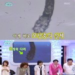 지상렬 얼굴 벌레 헉!